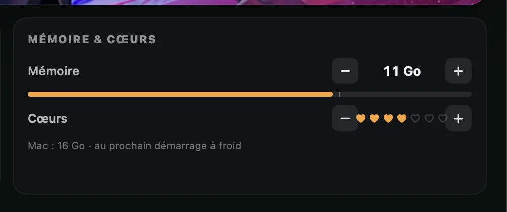 De kaart Geheugen en cores: 11 GB en 4 cores op een Mac met 16 GB